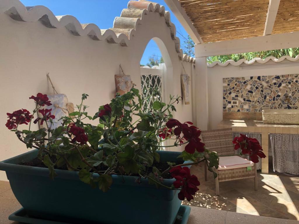 Cala Marina Holidays Villa Trappeto  Dış mekan fotoğraf
